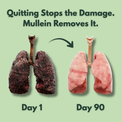 NutraCore Mullein Gummies